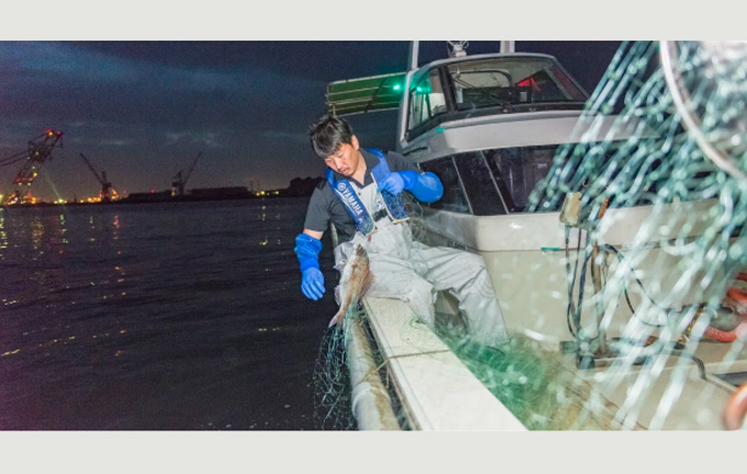 やりがいって大切。 どんなときも漁を続けられるのはそれがあるから 【ニッポンの魚獲り】