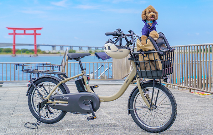 愛犬と一緒に浜名湖をサイクリング!弁天島サイクルゲートで「わんこと乗れるレンタサイクル」10月1日から実証事業開始